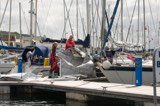 craobh marina whyw23 sun 800 3409